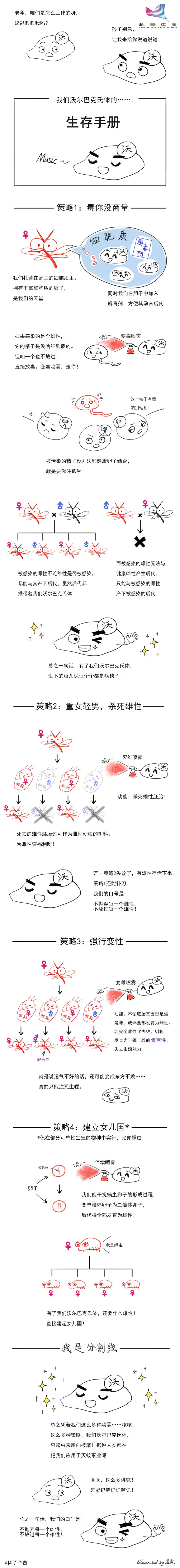 防蚊高手,夏季防蚊高手