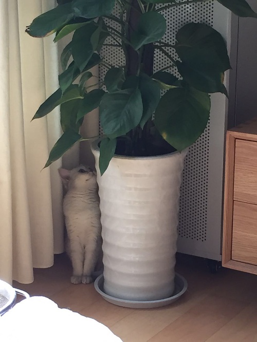 装修入住3个月总结35条血泪教训,入住一年后的总结