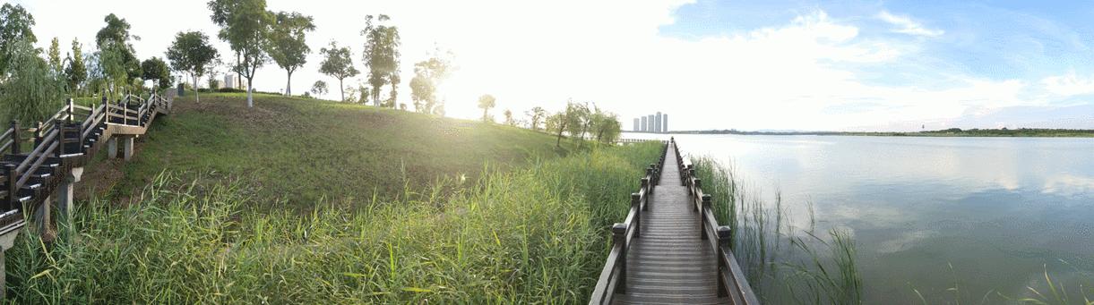 精工最好的潜水表是哪一款,精工三米手表