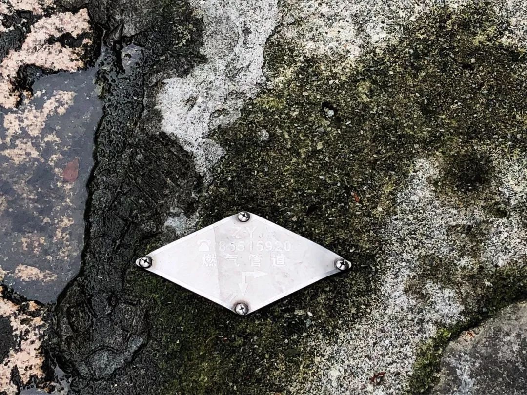 树根危害房屋如何处理,榕树长势茂盛危及电线引居民担忧