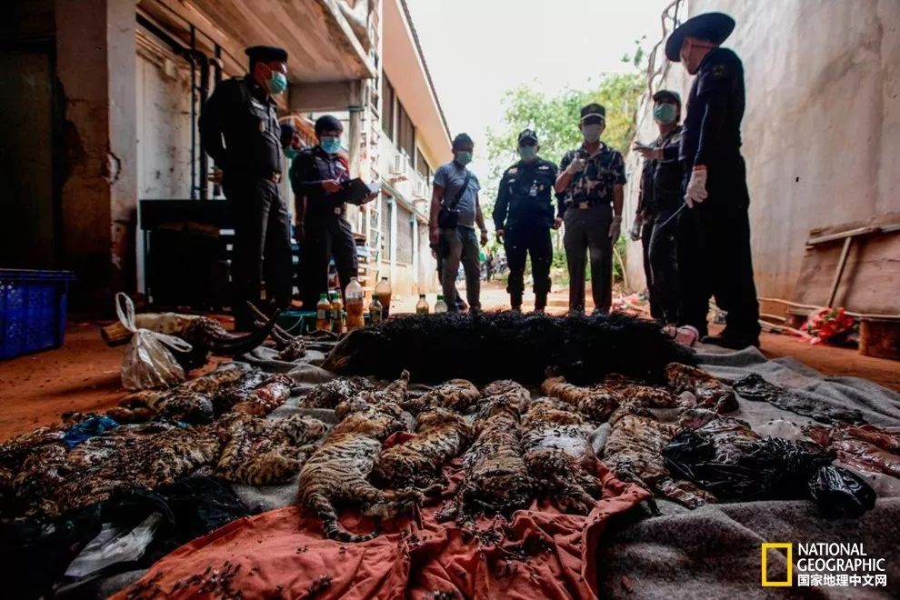 “谢谢你们,我们终于快死光了”