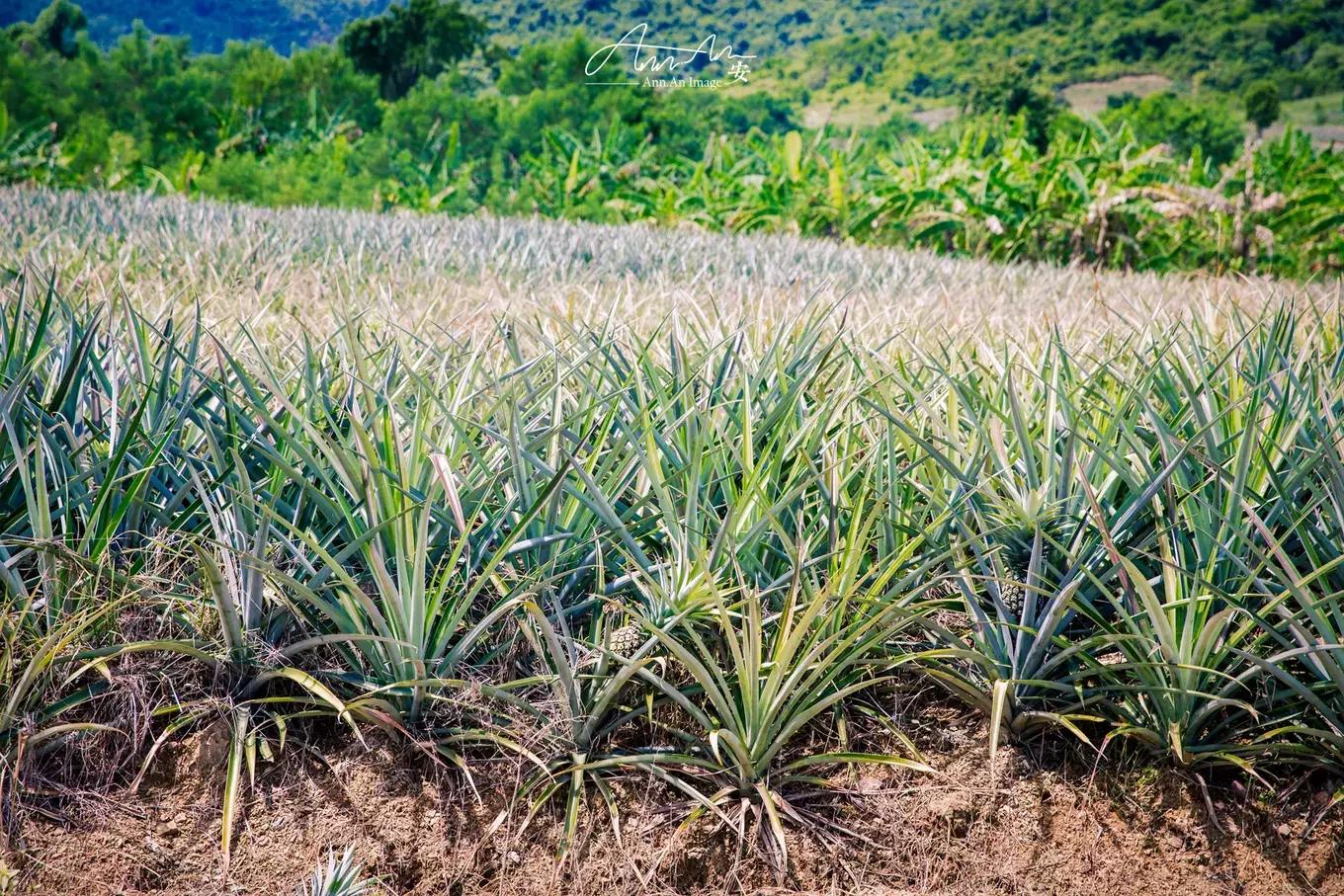 拥抱你的烈日暴雨，开启曼谷华新六日度假购物模式（下）