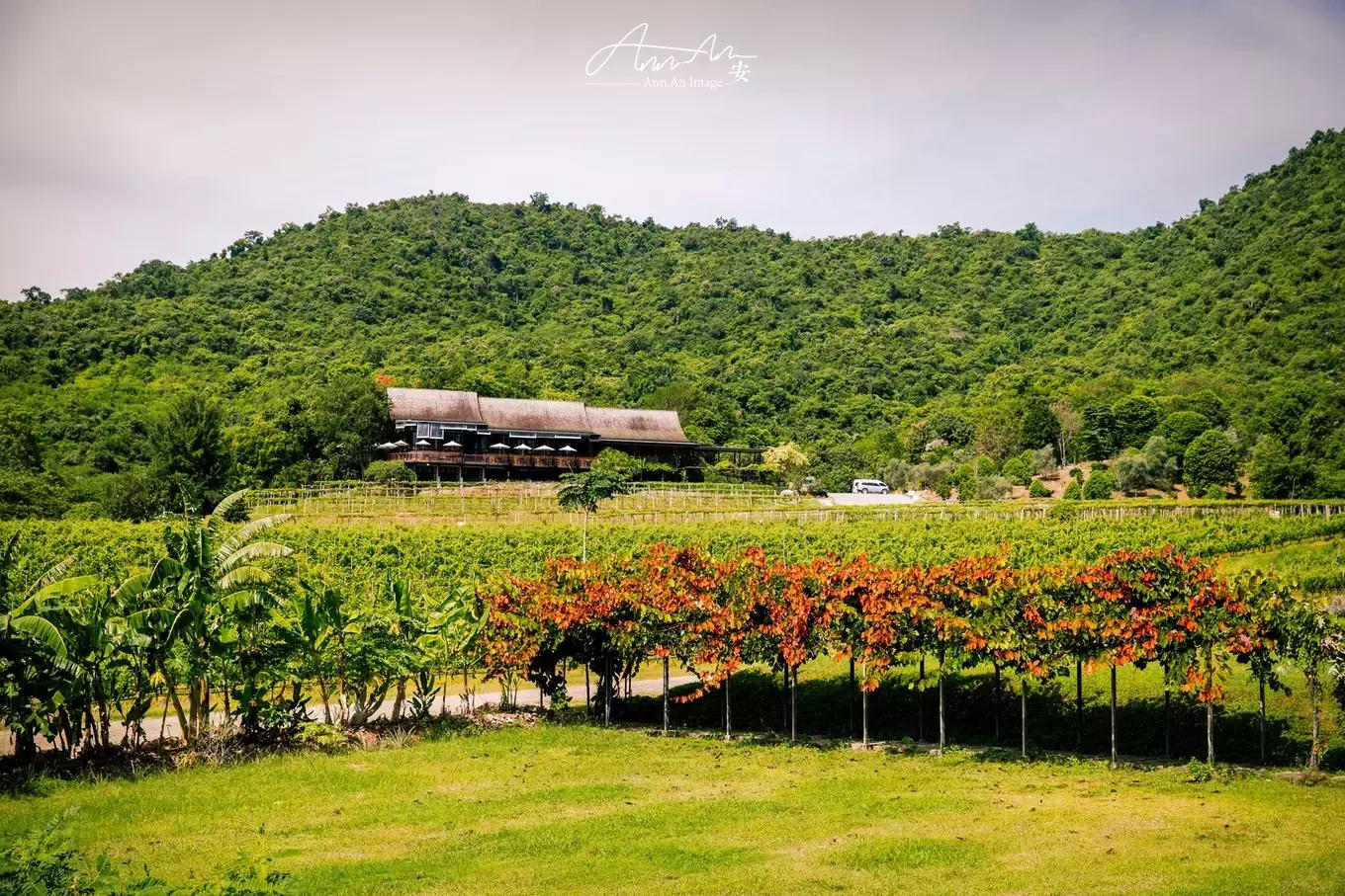 拥抱你的烈日暴雨，开启曼谷华新六日度假购物模式（下）