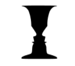 张军平：爱犯错的智能体——视觉篇（四）：看得见的斑点狗