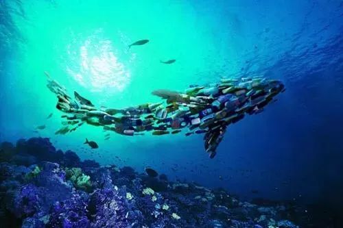 环保又便民，增城这2所医院推行“水溶性环保袋”！