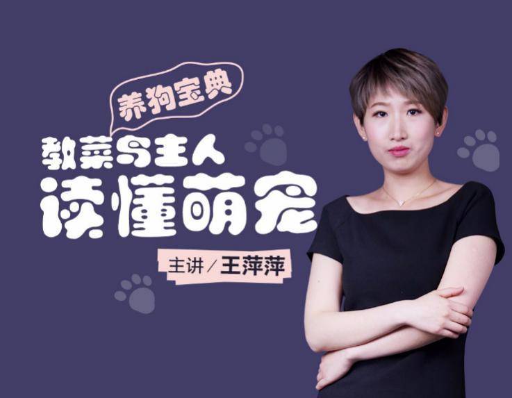 狗舍和狗市的狗哪个好,如何买到便宜的宠物狗舍