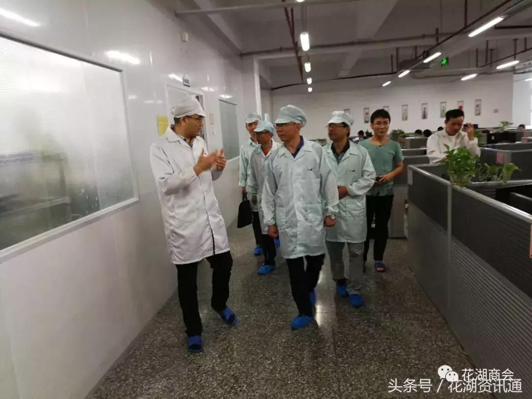 鄂州机场顺丰物流产业园最新信息,鄂州机场10平方公里产业园消息