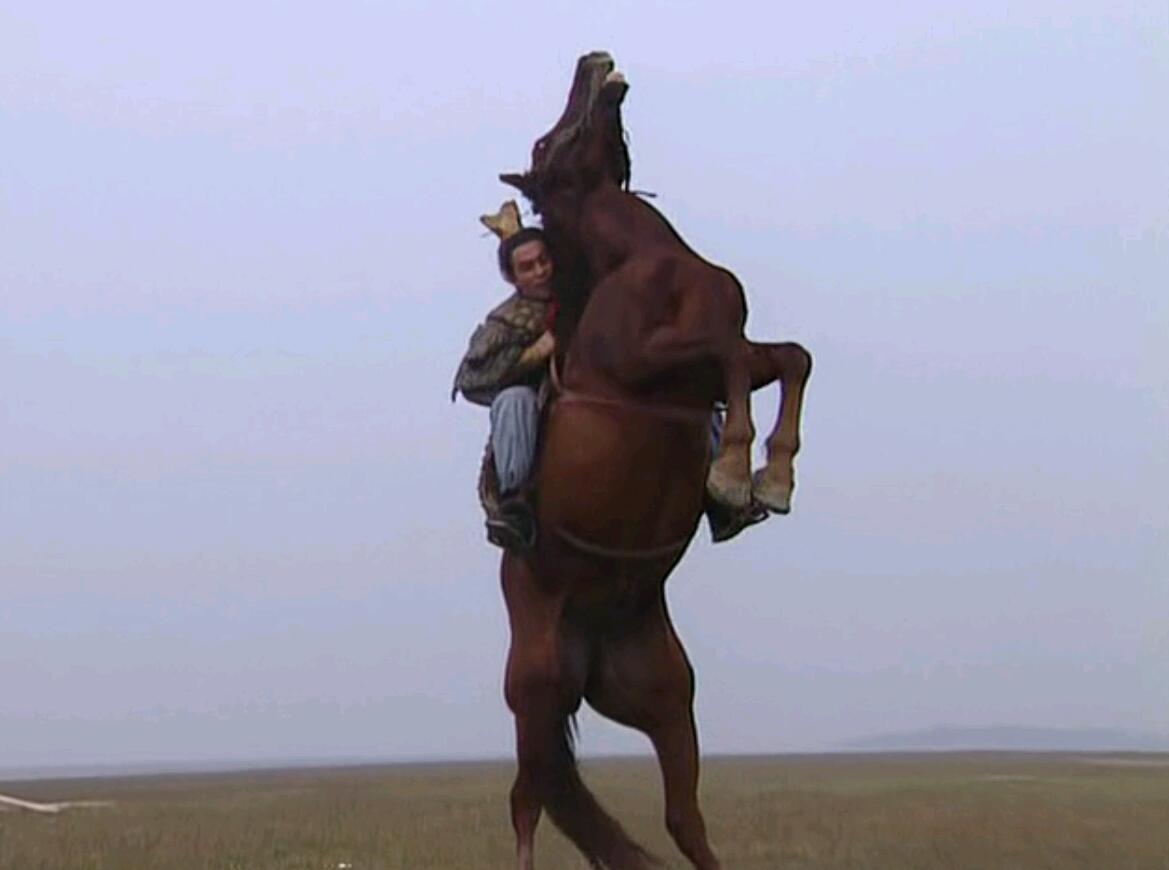 赤兔马怎么得名的,赤兔马为什么以兔子命名