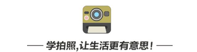 拼多多拼单返40元是真的吗,拼多多拼单返现40元