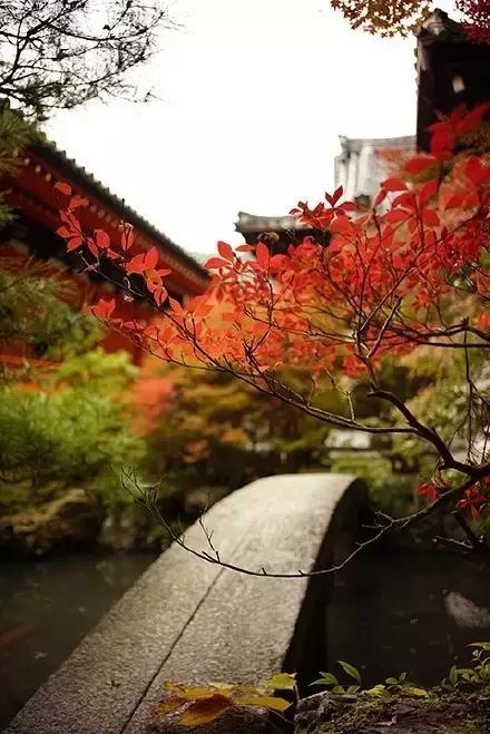 中医音乐疗法真实吗,中医养生音乐加长版