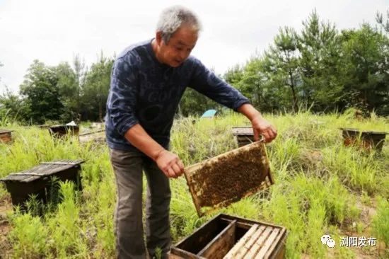 浏阳经开区最新项目进展,即将落户浏阳经开区的大项目