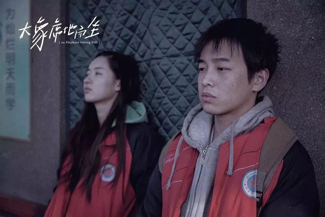 彭昱畅大象席地而坐导演,大象席地而坐导演之死