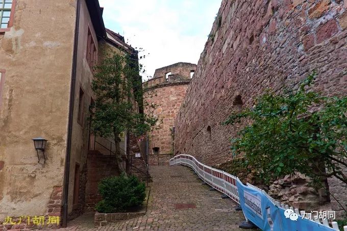 海德堡位于哪里,海德堡资料