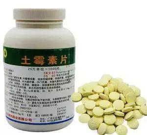 word天白地白,word天