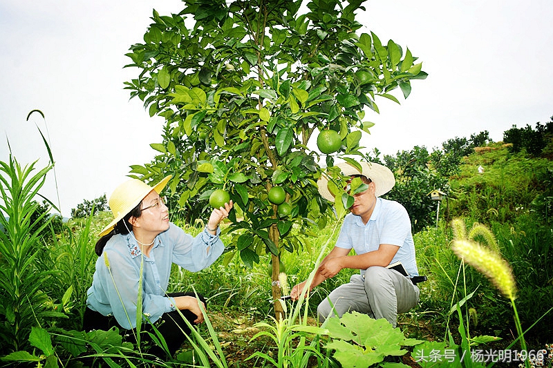勇啃硬骨头,攻坚克难啃硬骨头的精神