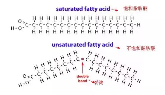 橄榄油的营养价值和功效与作用,特级初榨橄榄油的功效与作用