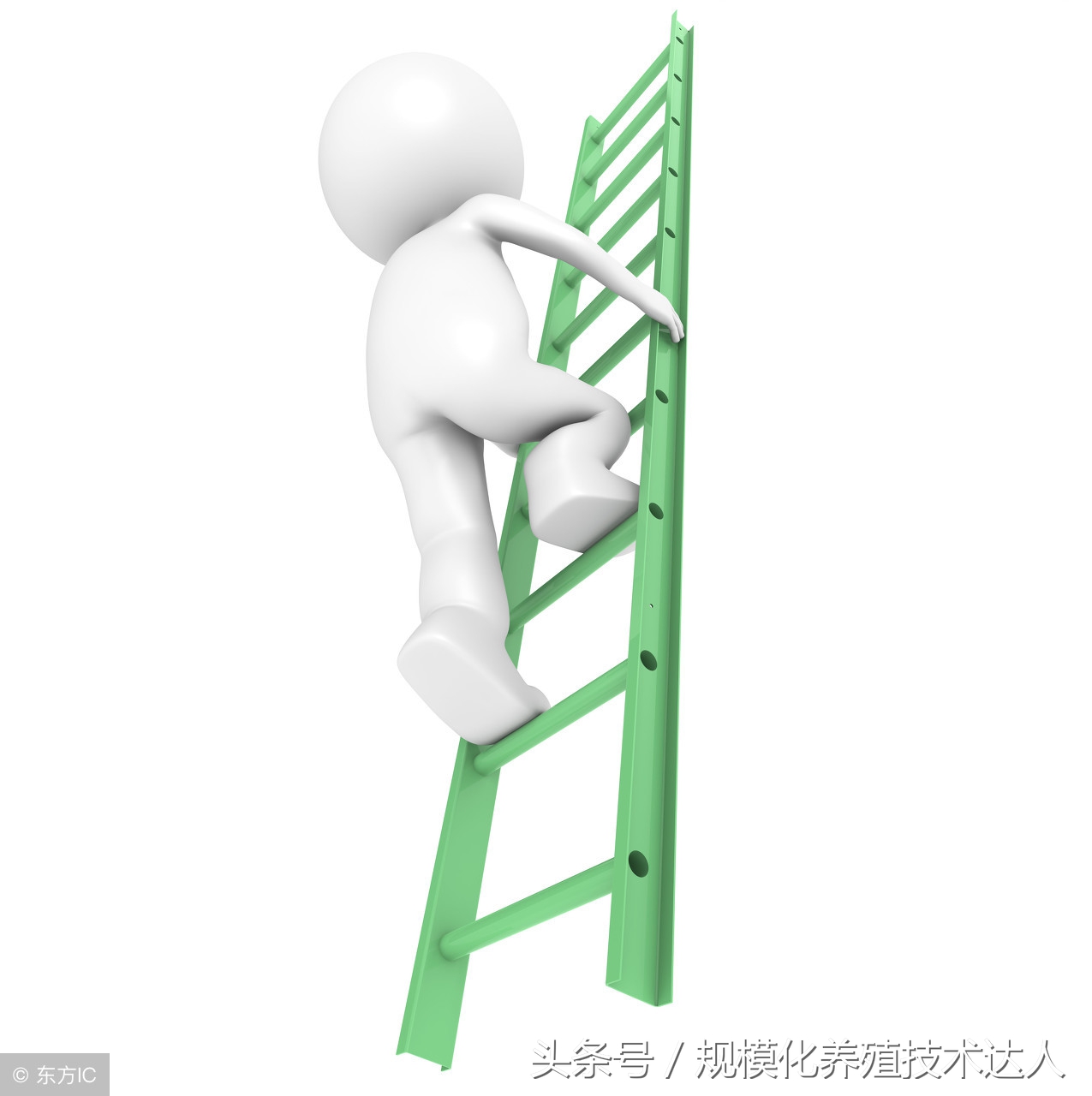 新建养猪场土地手续申请流程,新建猪场审批手续