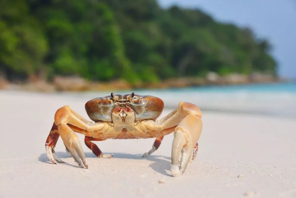 浙江体验感强的景点,浙江可以体验生活的地方