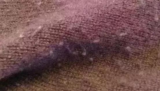 羊绒衫为什么会起球呢,关于羊绒衫起球的问题