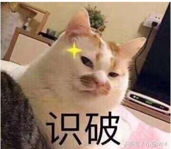 小苍生日,小苍过生日