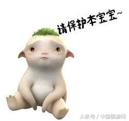 宝宝游泳害怕最好的解决方法,学游泳害怕水怎么克服