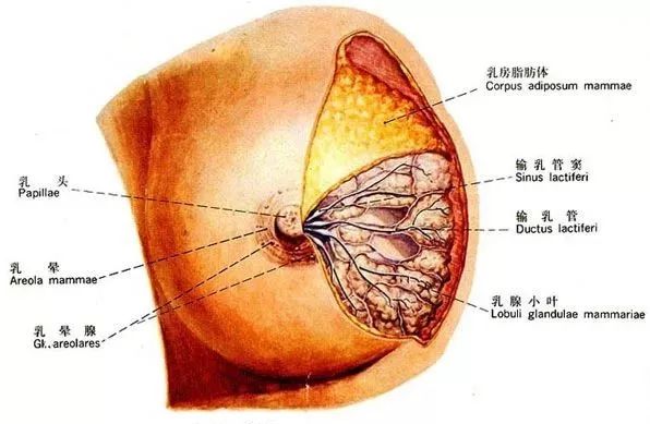 孕妈不能马虎的三件事,孕妈做点什么好呢