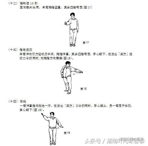 2019咏春拳比赛第一名,2019年全国武术咏春拳比赛