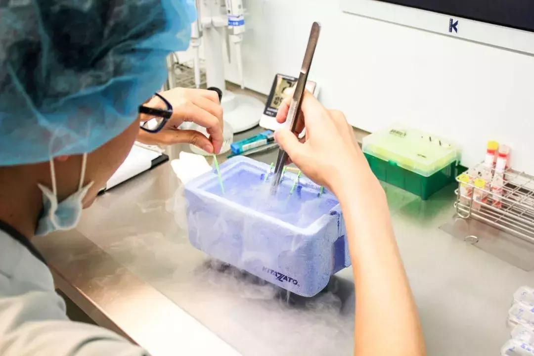 生活把女人逼得太狠，她们做了这样一个决定