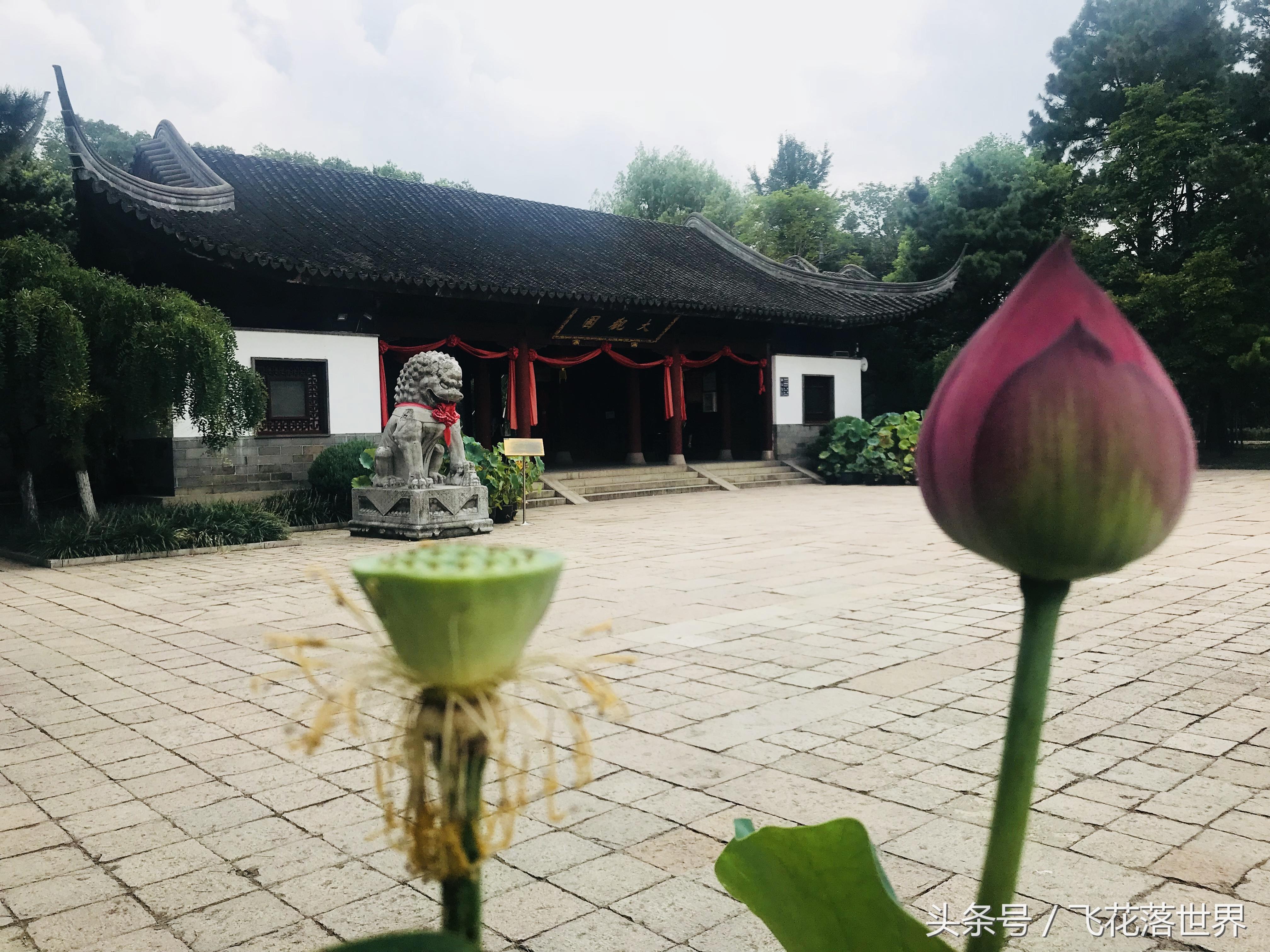 上海大观园园林,上海大观园的著名景点