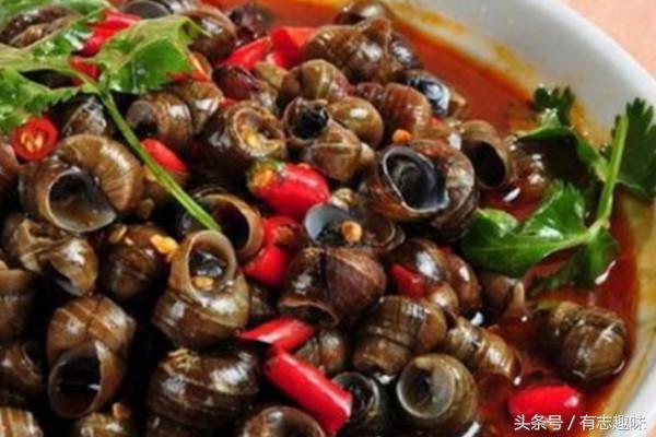 田螺有寄生虫还能吃吗?泡洗田螺有小妙招、材料家家都有