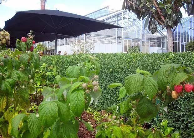 农庄式生态餐厅,休闲农场生态餐厅