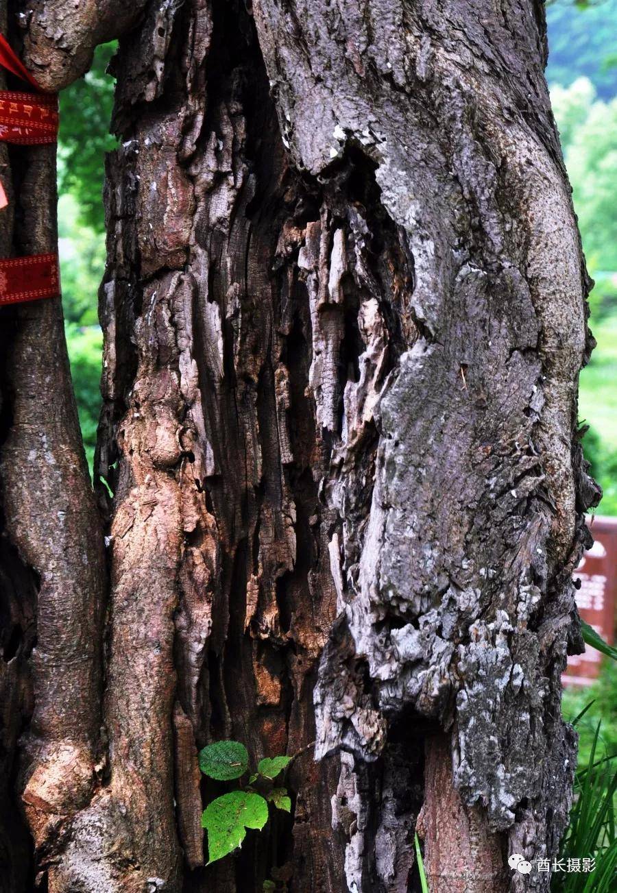 和县南京,南京悠闲的地方