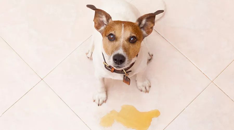 吃喝拉撒睡这五件事和什么分不开,吃喝拉撒睡的坏处