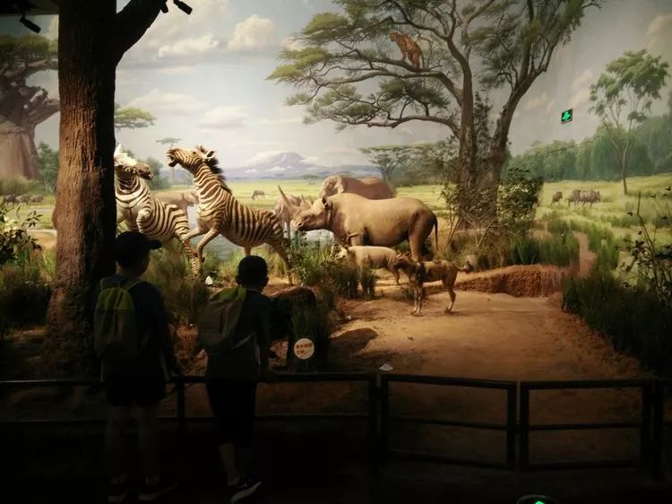 关爱困境儿童微心愿活动,关爱留守儿童圆梦微心愿活动