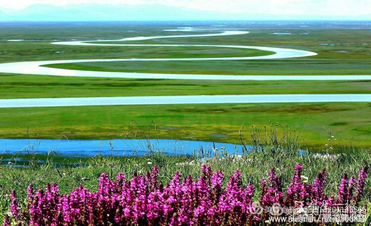 新疆巴音布鲁克怎么样,新疆巴音布鲁克咋样