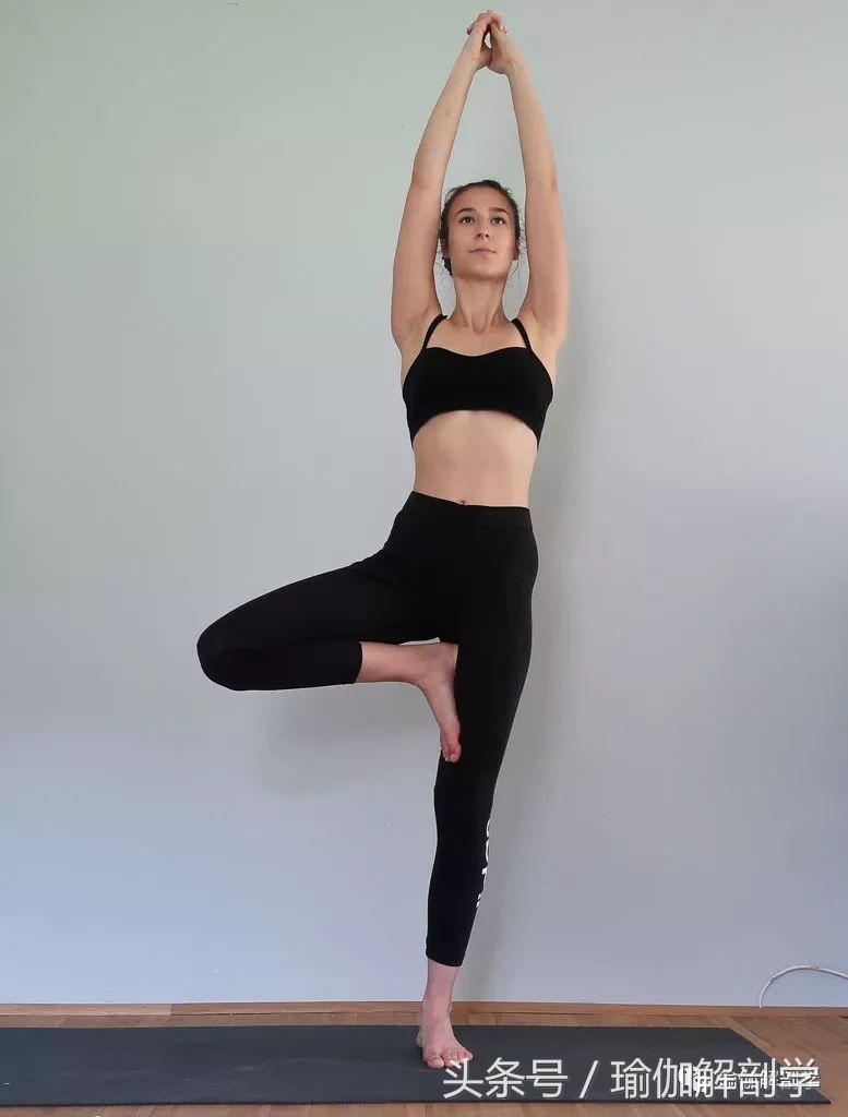 瑜伽初学者必练体式,基本体式是瑜伽练习时的预备体式