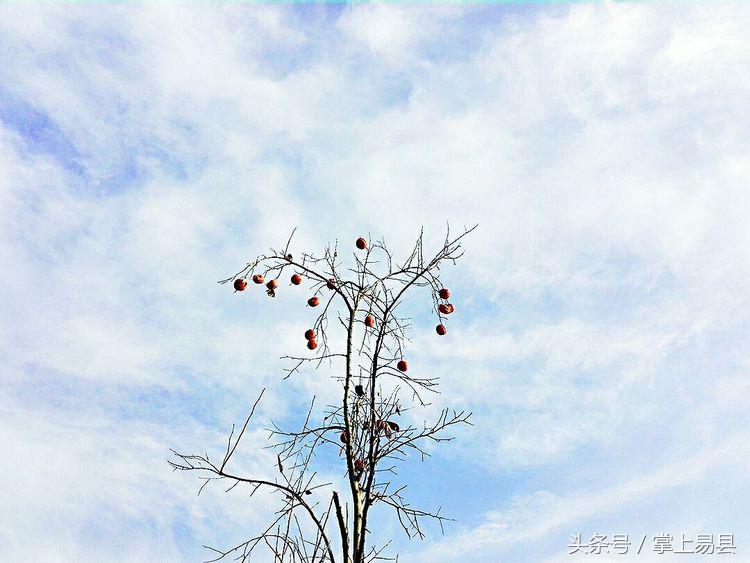 窟窿山,凤凰山星月