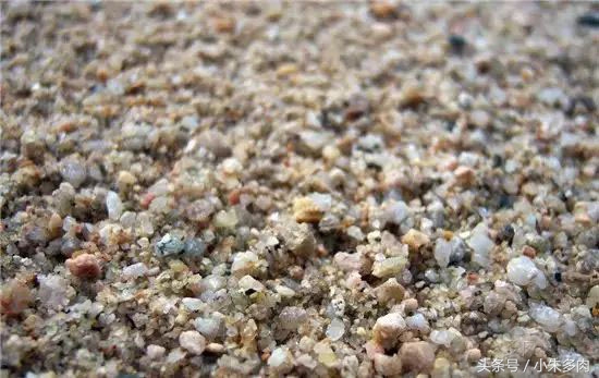 多肉颗粒土直播,多肉颗粒土批发