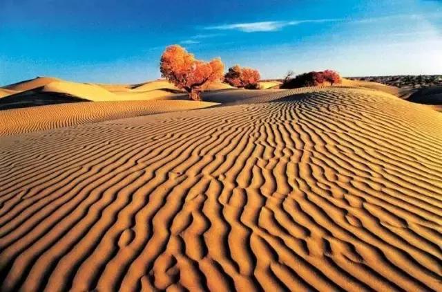 疆北自驾游线路图,全疆大环线自驾游最佳路线