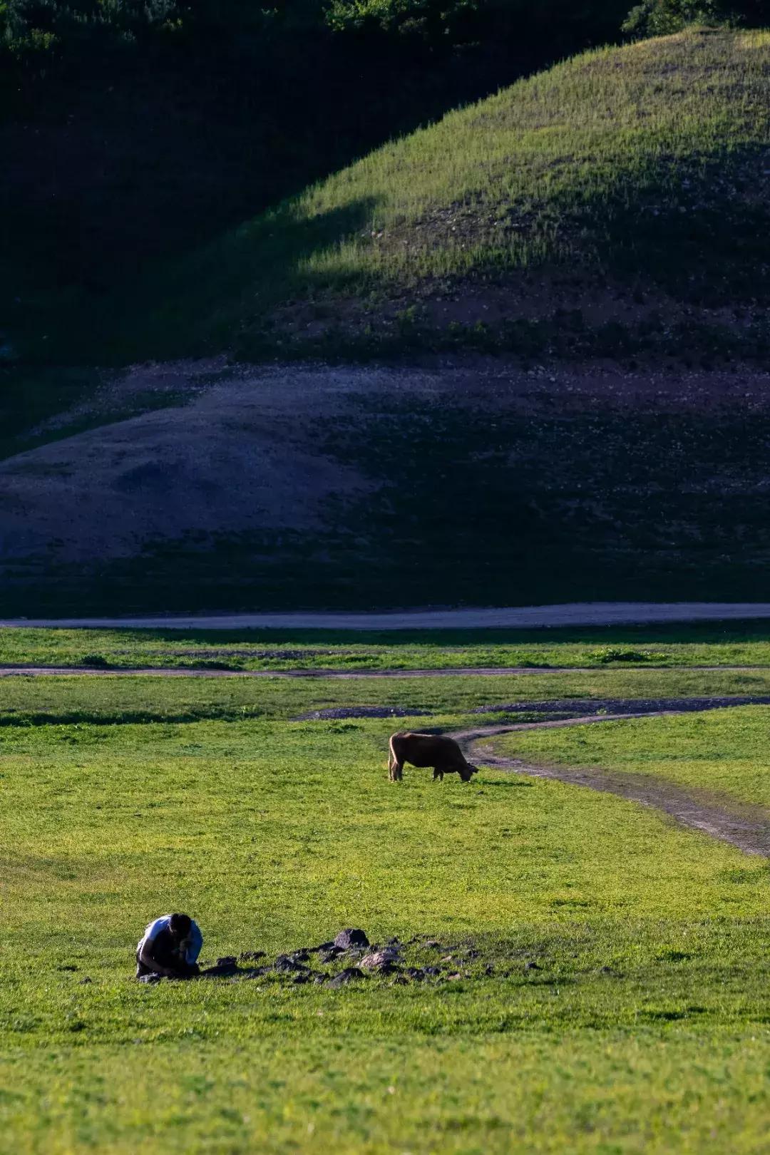 夏天应该怎么去旅游凉快,为什么夏天是最好的旅行时间