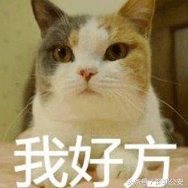 怎样能快速查到出租车的牌照,出租车牌怎么辨别真假