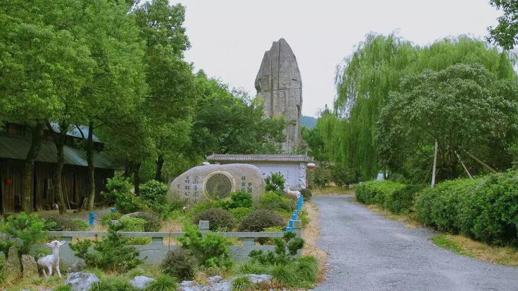 梦回江南烟雨的诗句,梦回江南邂逅古诗词