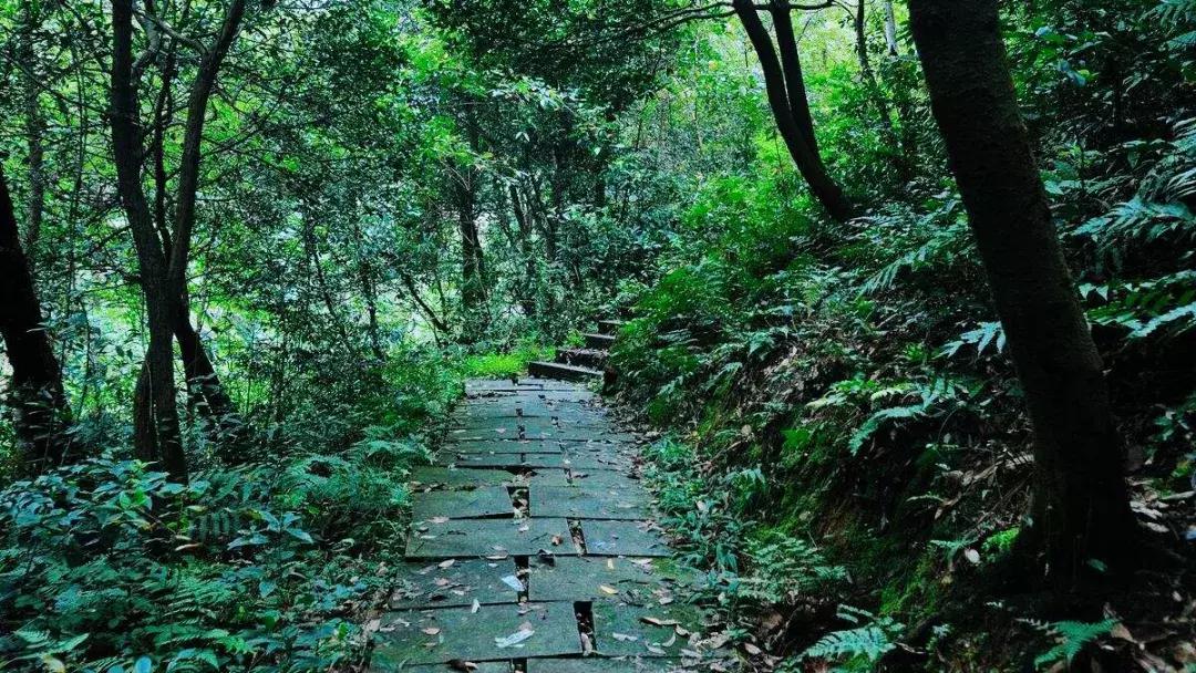 梦回江南烟雨的诗句,梦回江南邂逅古诗词