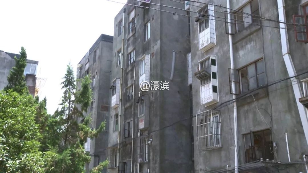 宠物坠楼事故,小狗坠楼抢救