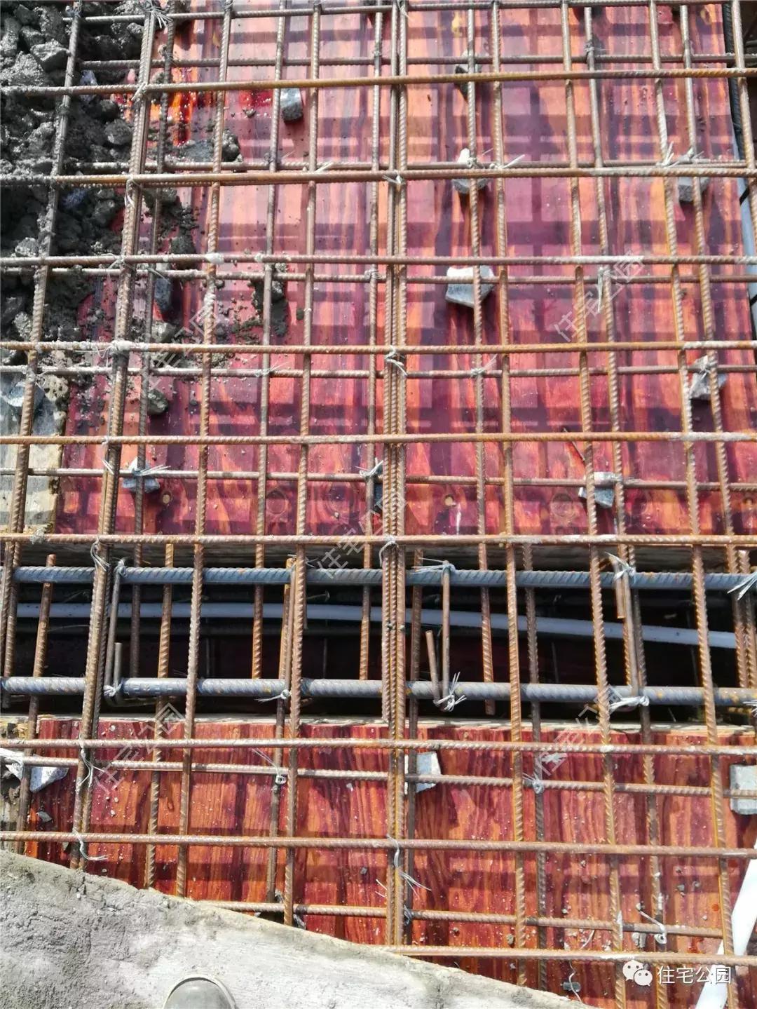 福建林家农村别墅,福建林先生农村别墅