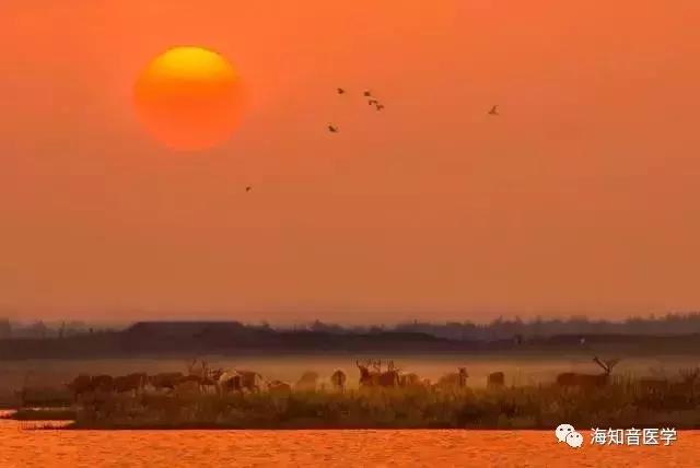 醉美中国——江苏