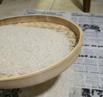 粮食生虫还能吃吗,谷物类生虫还能要吗