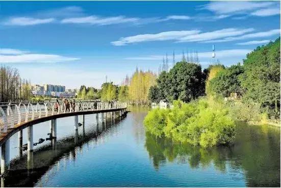 何须去远方看风景,双流绝美绿道