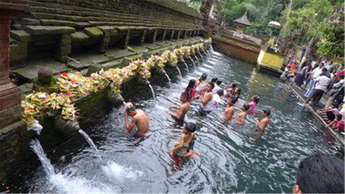 巴厘岛度假梦幻婚礼,巴厘岛森林酒店