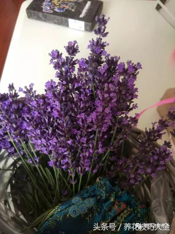 入睡困难也容易醒吃什么助眠药,入睡困难惊醒吃什么助睡眠的药好